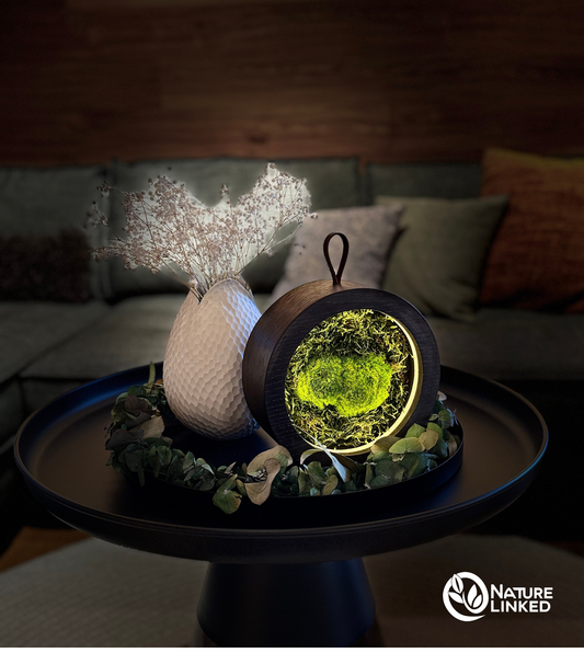 Leuchtendes Lichtobjekt mit Moos auf Tisch in wohnlichem Umfeld