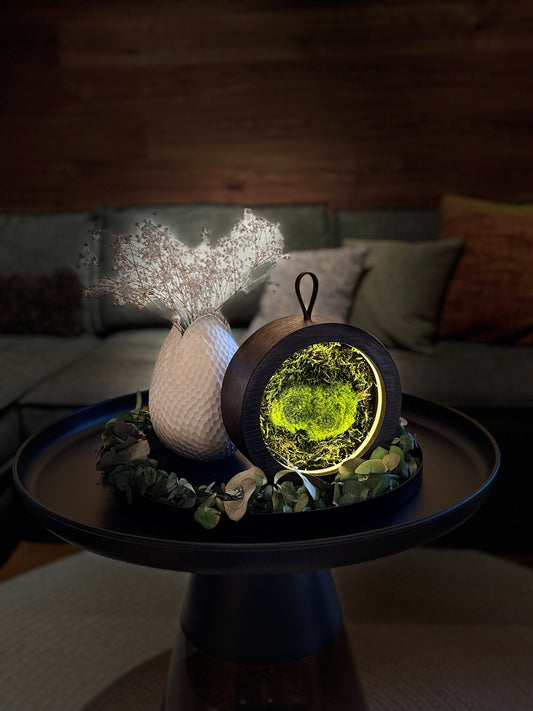 Licht – Quelle des Lebens