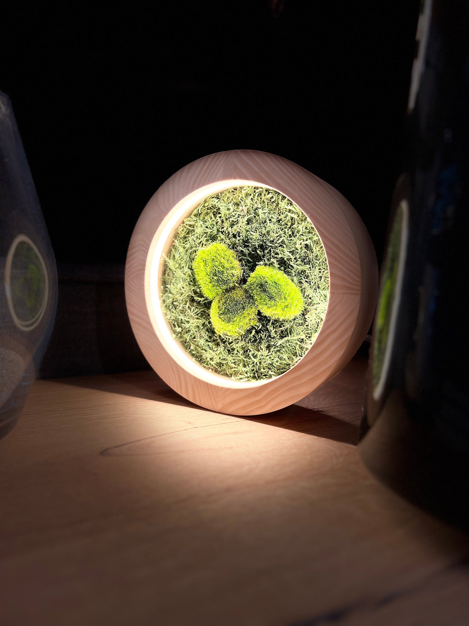 Moos-Leuchte: Leben, Natur -> Made in Austria